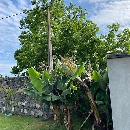 Casa de Férias Caloura 76