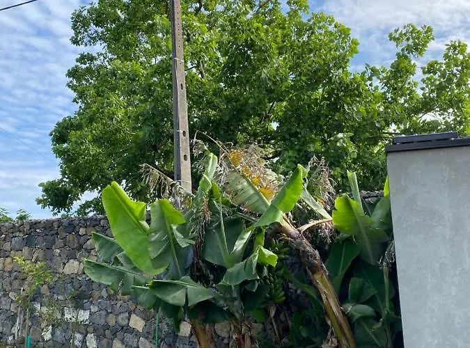 Hébergement de vacances Caloura 76